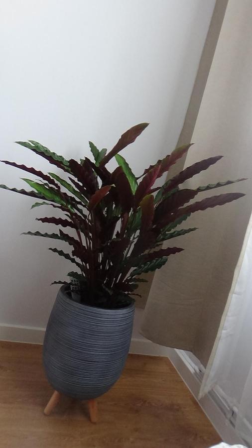 Apartament Na Jeziornej Kartuzy Bagian luar foto